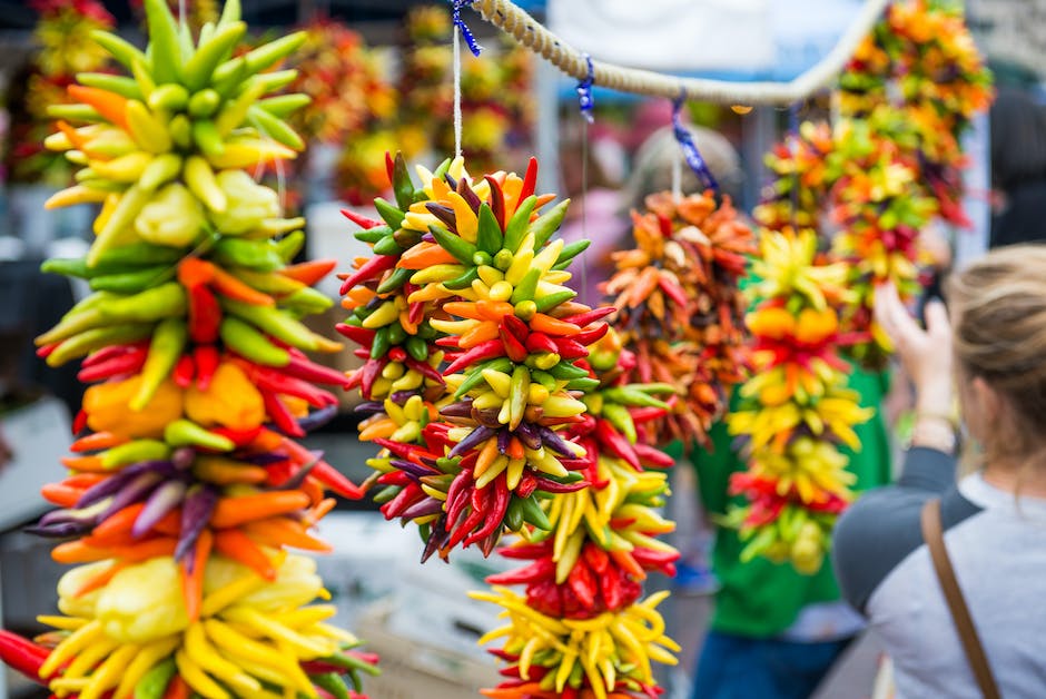  Hunde-Ernährung: Welches Obst und Gemüse können sie essen?