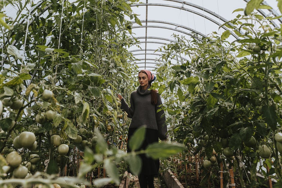 Gemüsekombinationen für den Garten