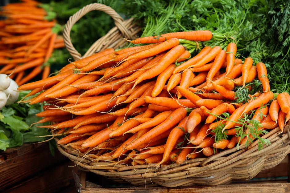 Gemüse wie Tomaten, Karotten, Zwiebeln und Paprika kombiniert mit Fenchel