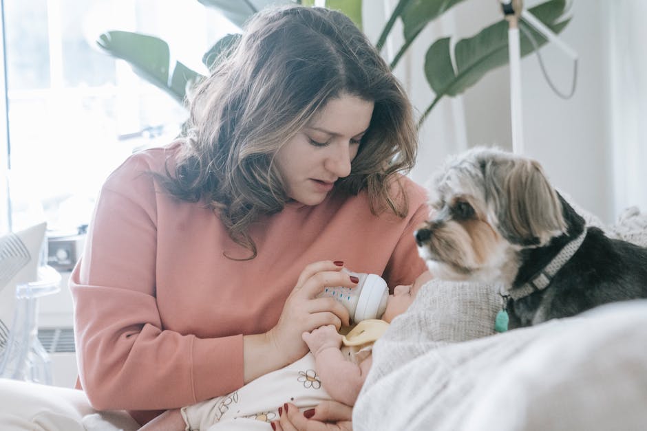 Hunde-Ernährungsratgeber: Welches Obst und Gemüse ein Hund essen darf