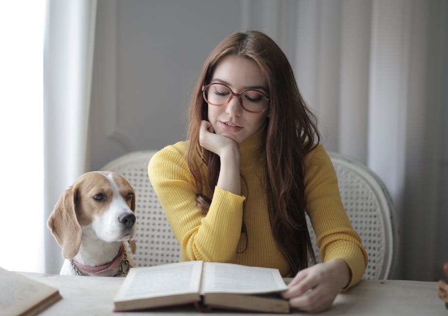 Welches Obst und Gemüse dürfen Hunde essen